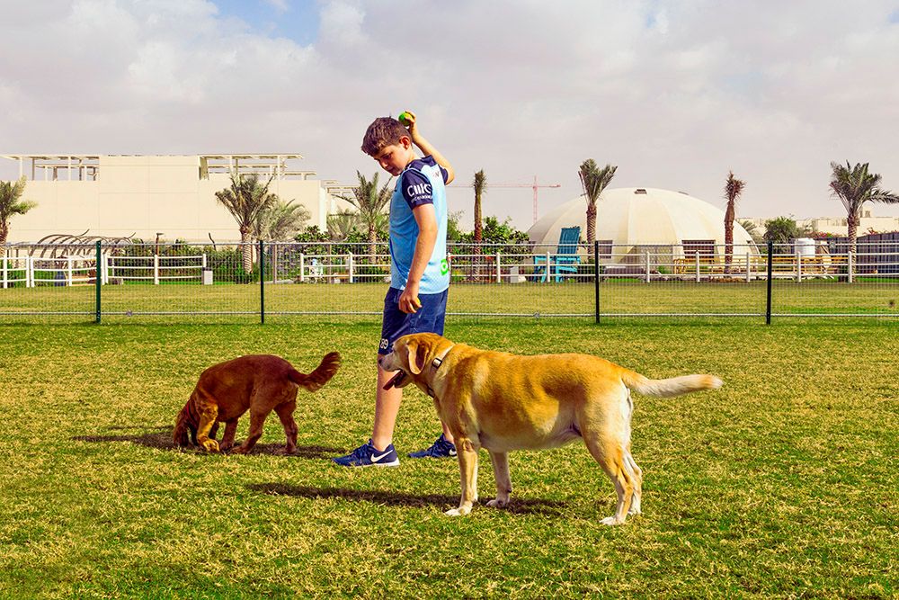 Dog-Friendly Parks in Dubai