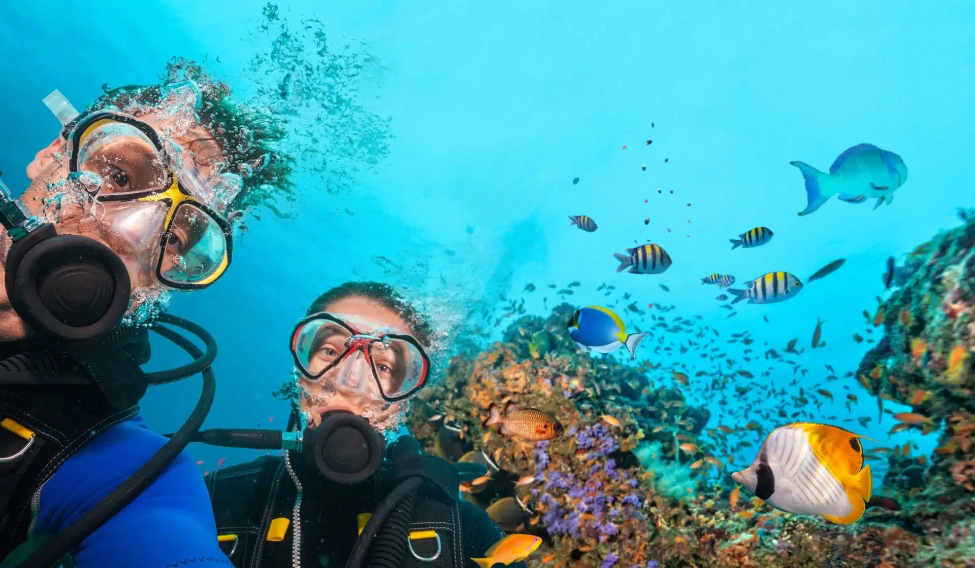 Top Scuba Diving Spots in Dubai