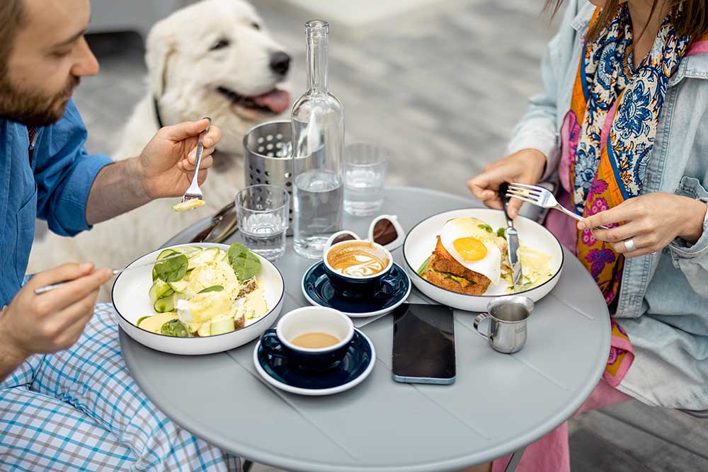 Dog Friendly Restaurants Dubai
