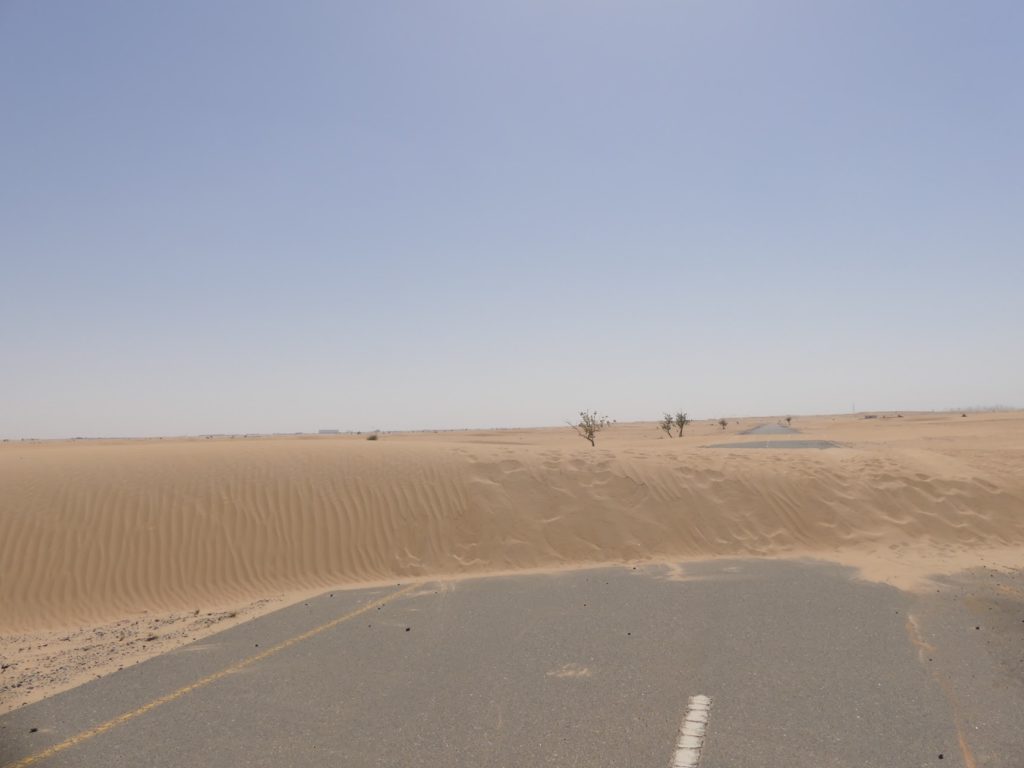 Dubai Half Desert Road Trip